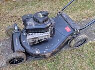 Grajewo ogłoszenia: Nóż uderzył w kamień i padła. Bez tchu. Może komuś na... - zdjęcie