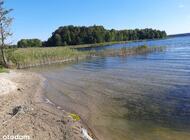 Grajewo ogłoszenia: Działki o powierzchni 3000m2, w tym 3 działki (nr działek: 85,... - zdjęcie