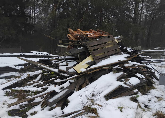 Grajewo ogłoszenia: Oddam drewno opałowe