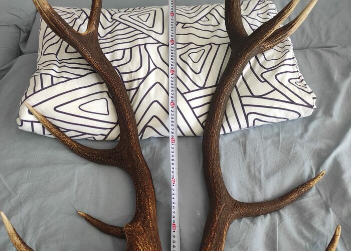 Grajewo ogłoszenia: Sprzedam to co na zdjęciu waga całkowita wszystkich 6,84 kg